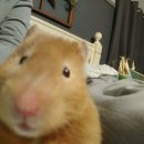 (유)쎈스 이미지