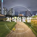 지식의 꽃밭 화장실 | 밤에도 아름다운 동대문구 지식의꽃밭