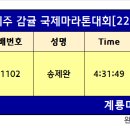 제주 감귤 국제마라톤대회[22.11.20] 이미지