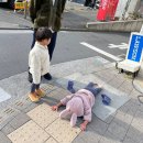 서울고속(평택운수로 변경) | 세영크크