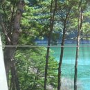 Lisof(리소프) 이미지