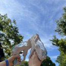 (주)와이즈나인 | 제목 짓기 어려운데 그냥 제목란 없애죠