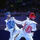 챔피온체육관    (태권도) 이미지