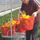 세영농장 이미지