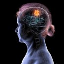 실버글쓰기교실 이미지