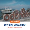 오동도 | 여수여행 오동도 방문후기: 동백열차 꿀팁+산책코스 완벽가이드