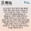 콩깍지 이미지