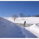 영하목장 이미지