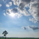 용리농장 이미지