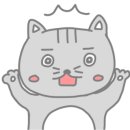 라라캣 이미지