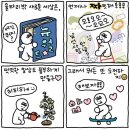 호주 브리즈번 워홀 준비 과정 총정리.zip 🐨🦘🇦🇺🌏