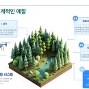 소나무숲 - 강릉시 독송길110번길 34 | 소나무숲