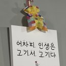 돈뜰꽃돼지 이미지