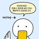 통번역가