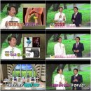 식스팩코리아