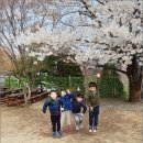 자연유아학교 이미지