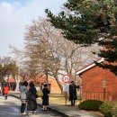 용산기지 옛 미군장교숙소(현 용산공원) 이미지