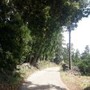 색달동지석묘 1호 이미지