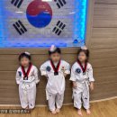 용인대잠원태권도 이미지