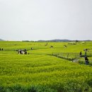 승천농장 이미지