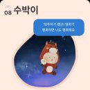 검사울 | 임신 10주~12주 니프티검사 마리아병원 비용 검사결과 성별 공개 난임병원 졸업 후기