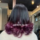 살롱드뮤토 이미지