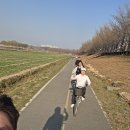 서연도시락 | 이 계절이 왜 이렇게 따뜻한가 했더니