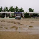 용당초등학교 이미지