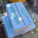 영희농장2 이미지