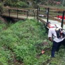 룩스글램핑앤팜 안동펜션 이미지