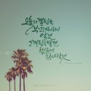 붓펜 캘리그라피 이미지