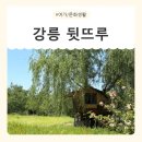 청솔농장 | [강원/강릉] 힐링 가득했던 강릉 나들이, 아이와 함께 가볼만한 곳 추천!