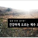 ‘놀멍 쉬멍 걸으멍~’ 건강하게 오르는 제주 오름 이미지