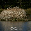 유수지 감시 이미지