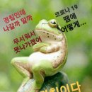 3월5일(토요일)날씨와운세 이미지