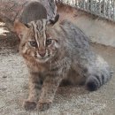 호서메디칼 이미지