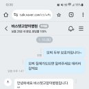 바스텟고양이병원 이미지