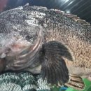 바다랑B펜션 이미지