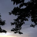 황토돌담집 이미지