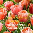 테마빌딩 이미지