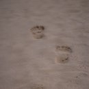 장경한의원 이미지