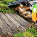 착한낙지 정림점 이미지