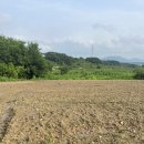 찬혜 | 농촌봉사활동 구경하러 오세요!