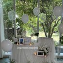 느리게 가는 구름 | 🌿 제주 성산 프로포즈 세팅 - 느리게 가는 구름 펜션의 숲속 청혼 💚