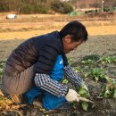 김정태 농장 이미지