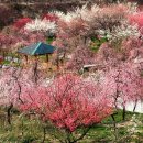 완산-20 이미지