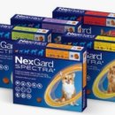 선강약국 이미지