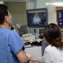 (주)딘소 이미지