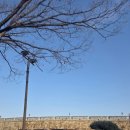 화성행궁 | 2026년 2월 28일 토요일 방문 기록 | 수원 화성행궁 플라잉수원 내돈내산 후기