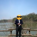톰브라운 RWB 암밴드 가디건 구매후기 🤩